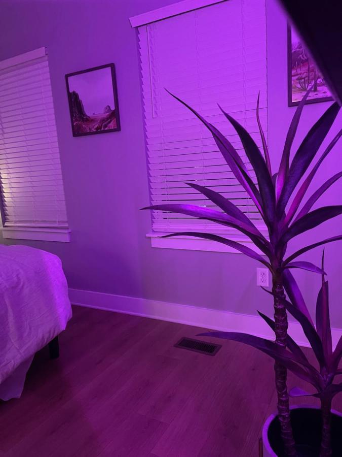 Classy, Cozy, Close To Downtown 纳什维尔 外观 照片